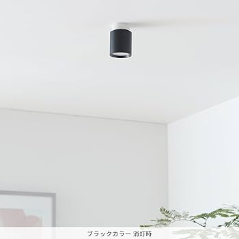 Amazon.co.jp : アートワークスタジオ グリッドシーリングダウン
